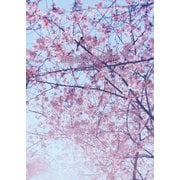 いちばんすきな花 公式メモリアルブック（扶桑社） [電子書籍]