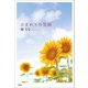 ひまわりの笑顔（文芸社） [電子書籍]