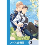 ないもの探しは難しい【ノベル分冊版】 3（KADOKAWA） [電子書籍]