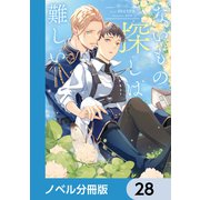 ないもの探しは難しい【ノベル分冊版】 28（KADOKAWA） [電子書籍]
