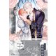 白銀王の身代わり花嫁 ～嘘とかりそめの新婚生活～ 【電子限定おまけ付き＆イラスト収録】（幻冬舎コミックス） [電子書籍]