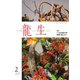 いけ花龍生 2月号（龍生華道会） [電子書籍]