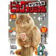 ビッグコミックオリジナル 2024年4号（2024年2月5日発売）（小学館） [電子書籍]