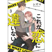 これが恋に違いない（分冊版） 【第3話】（海王社） [電子書籍]