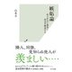 嫉妬論～民主社会に渦巻く情念を解剖する～（光文社） [電子書籍]