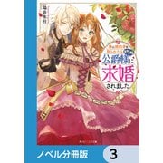 妹に婚約者を取られたら見知らぬ公爵様に求婚されました【ノベル分冊版】 3（KADOKAWA） [電子書籍]