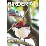 BIRDER（バーダー） 2024年3月号（文一総合出版） [電子書籍]