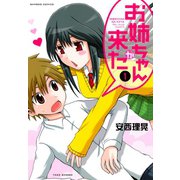 お姉ちゃんが来た （1）（竹書房） [電子書籍]
