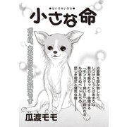 あなたの隣のモンスター主婦SP～小さな命～（竹書房） [電子書籍]