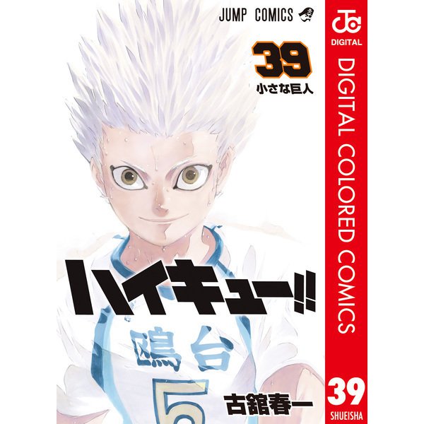 ハイキュー！！ カラー版 39（集英社） [電子書籍]