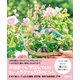 らくちんガーデニング 12か月の魔法 無理なく続ける庭しごと（NHK出版） [電子書籍]