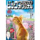 ビッグコミックオリジナル 2024年6号（2024年3月5日発売）（小学館） [電子書籍]