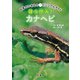 日本のいきものビジュアルガイド はっけん！ カナヘビ（緑書房） [電子書籍]
