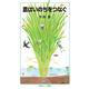 農はいのちをつなぐ（岩波書店） [電子書籍]