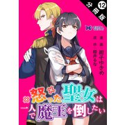 怒った聖女は一人で魔王を倒したい（コミック） 分冊版 ： 12（双葉社） [電子書籍]