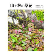山や林の草花（福音館書店） [電子書籍]