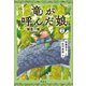 竜が呼んだ娘2 闇倉の竜（講談社） [電子書籍]