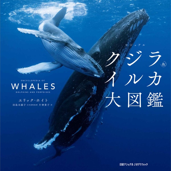 ビジュアル クジラ＆イルカ大図鑑（日経ナショナルジオグラフィック社） [電子書籍]Ω