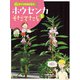 花をそだててじーっとかんさつ ホウセンカをそだてたら（ほるぷ出版） [電子書籍]