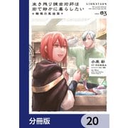 生き残り錬金術師は街で静かに暮らしたい ～輪環の魔法薬～【分冊版】 20（KADOKAWA） [電子書籍]