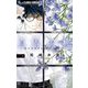 真綿の檻 4（小学館） [電子書籍]