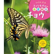 しゃしん絵本 小さな生きものの春夏秋冬 チョウ（ポプラ社） [電子書籍]