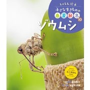 しゃしん絵本 小さな生きものの春夏秋冬 ゾウムシ（ポプラ社） [電子書籍]