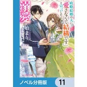 政略結婚の夫に「愛さなくて結構です」と宣言したら溺愛が始まりました【ノベル分冊版】 11（KADOKAWA） [電子書籍]
