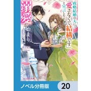 政略結婚の夫に「愛さなくて結構です」と宣言したら溺愛が始まりました【ノベル分冊版】 20（KADOKAWA） [電子書籍]