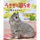 うさぎと暮らす No.91（うさぎと暮らす） [電子書籍]