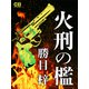 火刑の檻（シティブックス） [電子書籍]
