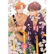 きみが灯してくれたなら link.2（オーバーラップ） [電子書籍]