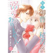 極上御曹司の秘書になったのは溺愛されるためじゃありません！1（マーマレードコミックス） [電子書籍]