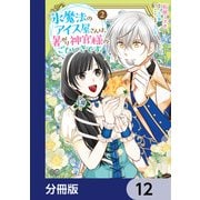 氷魔法のアイス屋さんは、暑がり神官様のごひいきです。【分冊版】 12（KADOKAWA） [電子書籍]