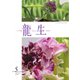 いけ花龍生 5月号（龍生華道会） [電子書籍]