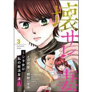 壊サレ妻 ～シタ女は私の妊活友達～ （3）（ぶんか社） [電子書籍]