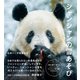 シャンシャンの雪あそび（朝日新聞出版） [電子書籍]