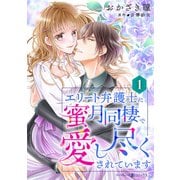 エリート弁護士に蜜月同棲で愛し尽くされています【分冊版】1話（マーマレードコミックス） [電子書籍]