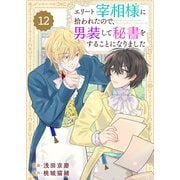 Berry's Fantasy エリート宰相様に拾われたので、男装して秘書をすることになりました（分冊版）12話（スターツ出版） [電子書籍]