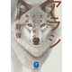 ヤマケイ文庫 アラシ 奥地に生きた犬と人間の物語（山と溪谷社） [電子書籍]