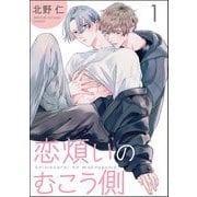 恋煩いのむこう側（分冊版） 【第1話】（海王社） [電子書籍]