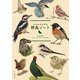 ココロさえずる 野鳥ノート（文一総合出版） [電子書籍]