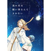 流れ星は願い事なんてきかない（2）（ナンバーナイン） [電子書籍]