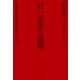 紅い帝国の論理：新全体主義に隠されたもの（白水社） [電子書籍]