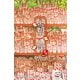 古都さんぽ51 茶谷明宏（バズブッカ） [電子書籍]