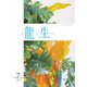 いけ花龍生 7月号（龍生華道会） [電子書籍]
