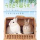 うさぎと暮らす No.92（うさぎと暮らす） [電子書籍]