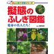 擬態のふしぎ図鑑 変身の名人たち！（PHP研究所） [電子書籍]