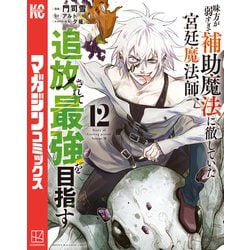 ヨドバシ.com - 味方が弱すぎて補助魔法に徹していた宮廷魔法師