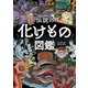 伝説の化けもの図鑑（中央公論新社） [電子書籍]